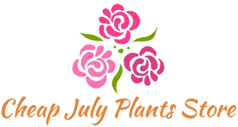 Cheap July Plants Store
