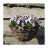 Viola 'Lavender Petite' | 30cm Rattan Hanging Basket -Cheap July Plants Store PL50123 main image 4a83