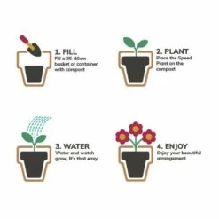 Pansy Cool Wave® Mixed Speed Planter for Hanging baskets 8 Pansy Cool Wave® Mixed Speed Planter for Hanging baskets -Cheap July Plants Store PL6216 add image 1 dadc